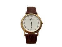 Watch Festina in Steel yellow gold plated F5249/1 - F5249/1